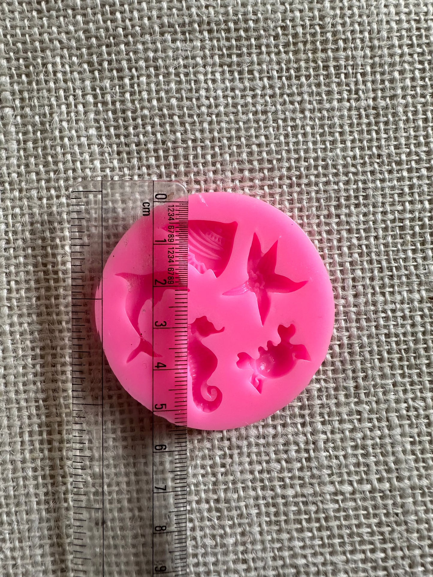 Small Sea Animal Mould