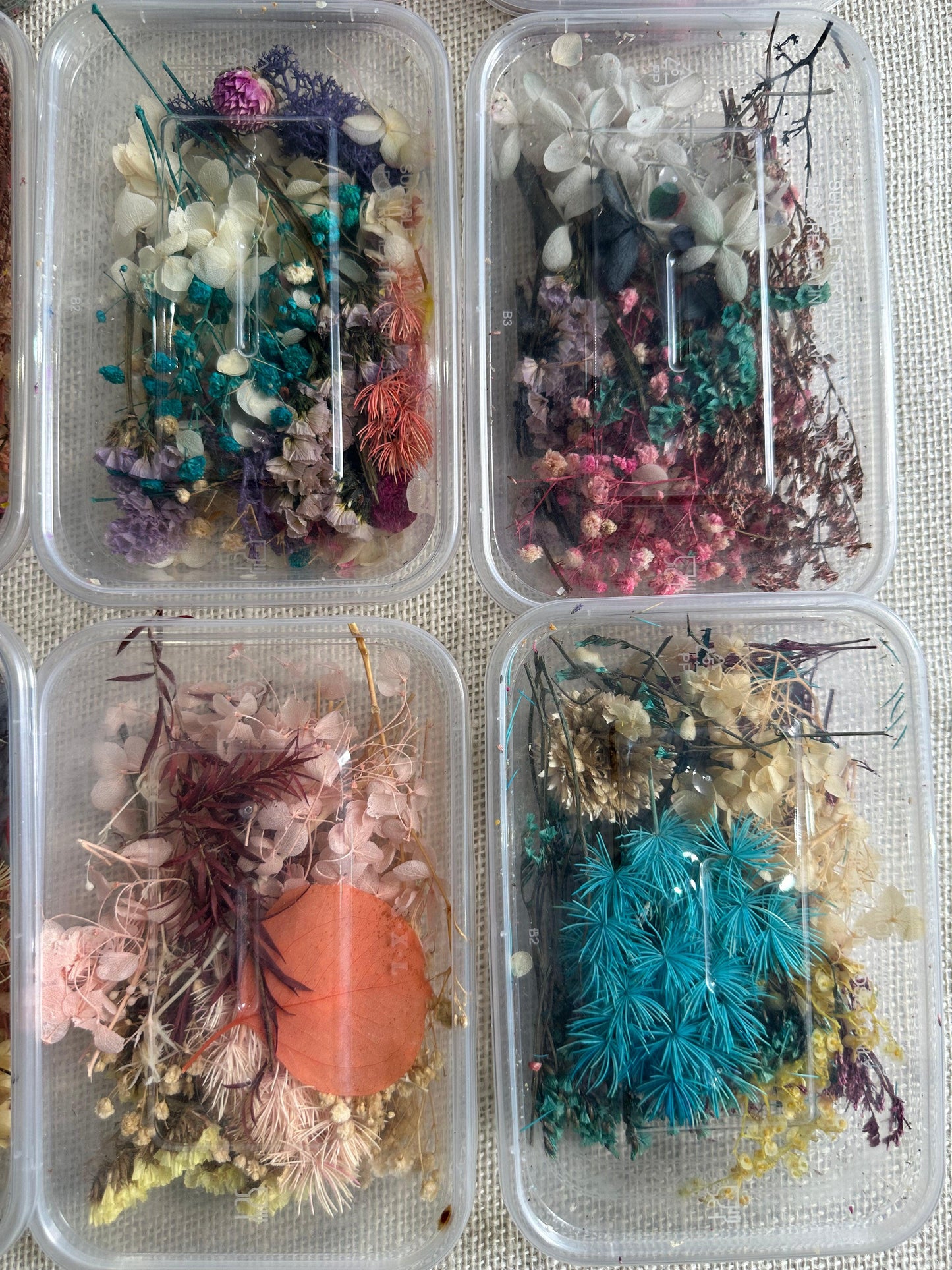 Dry Flowers Box - 1 Box