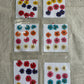 Mix Daisy Pack Pressed Flowers - (1 Packet)