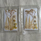 Dry Pressed Flowers - 004 (1 Pack)
