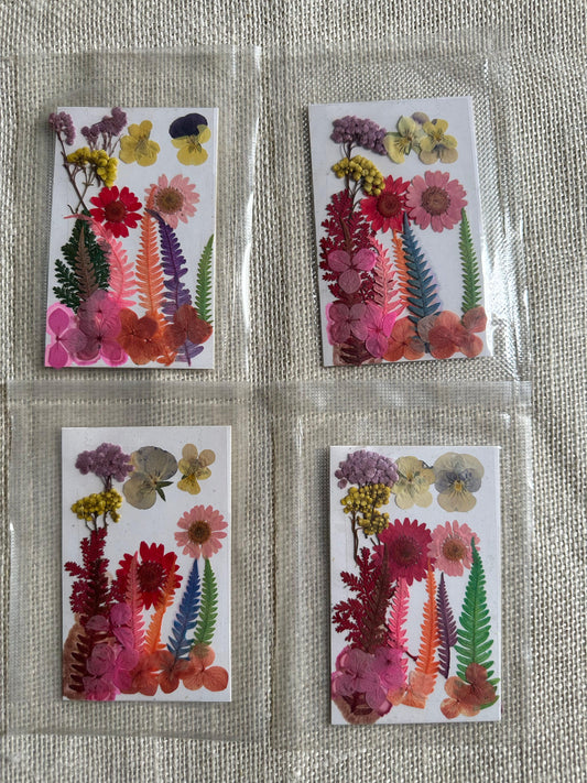 Dry Pressed Flowers - 005 (1 Pack)