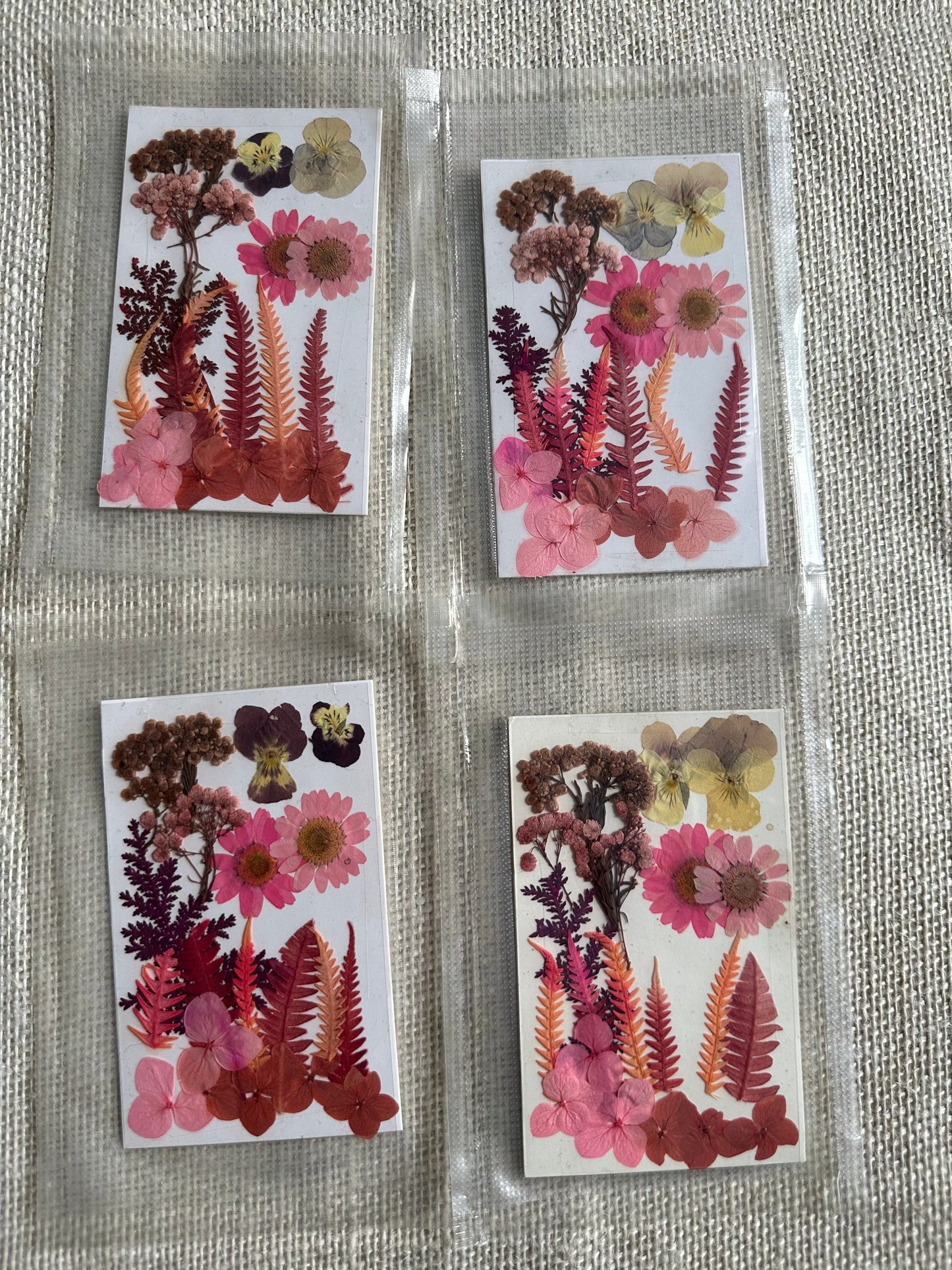 Dry Pressed Flowers - 006 (1 Pack)