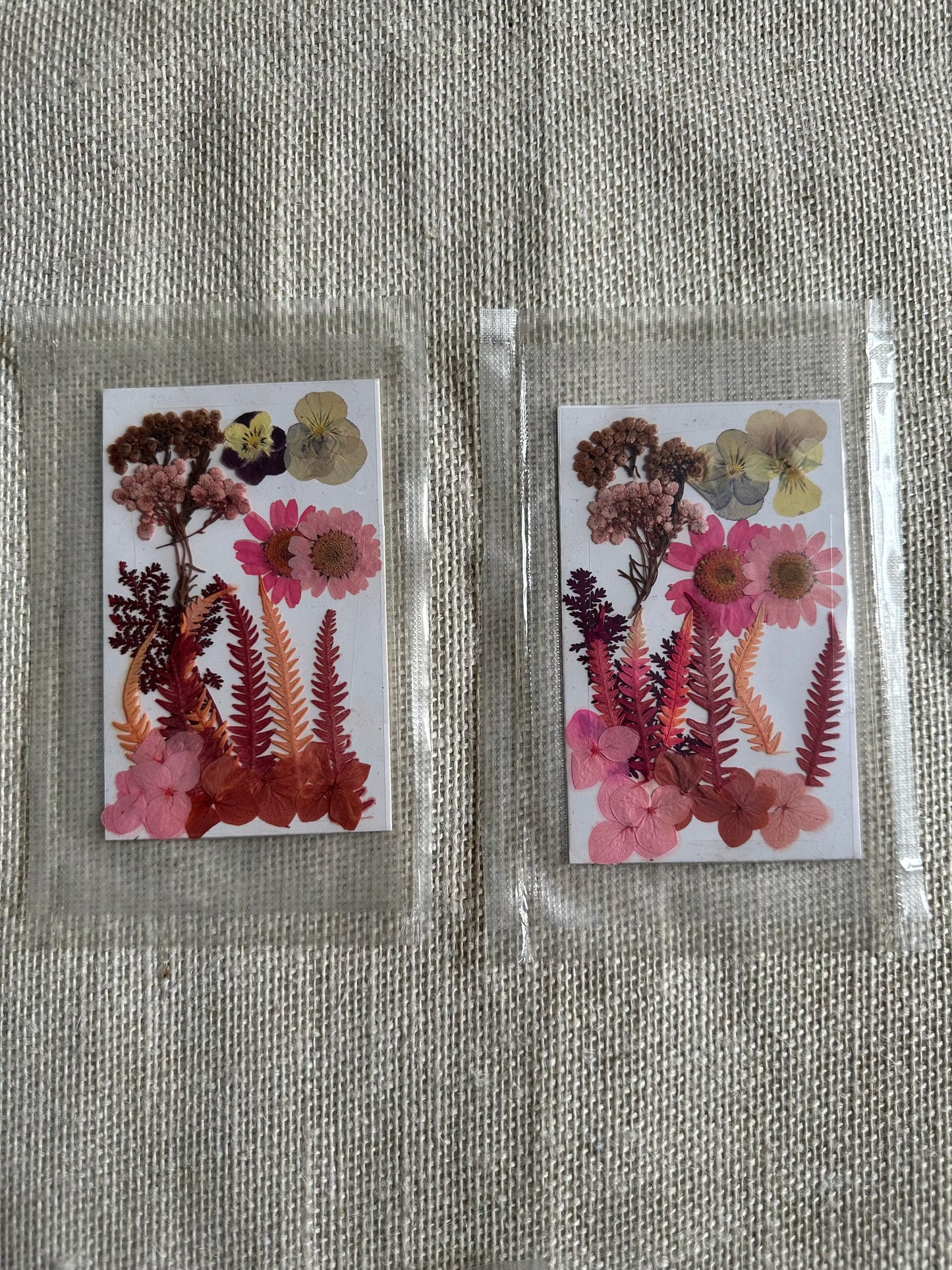 Dry Pressed Flowers - 006 (1 Pack)