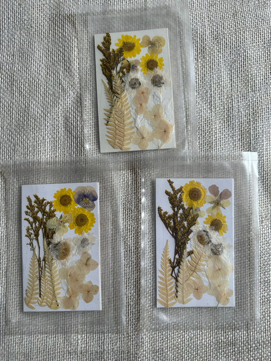 Dry Pressed Flowers - 008 (1 Pack)