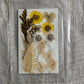 Dry Pressed Flowers - 008 (1 Pack)