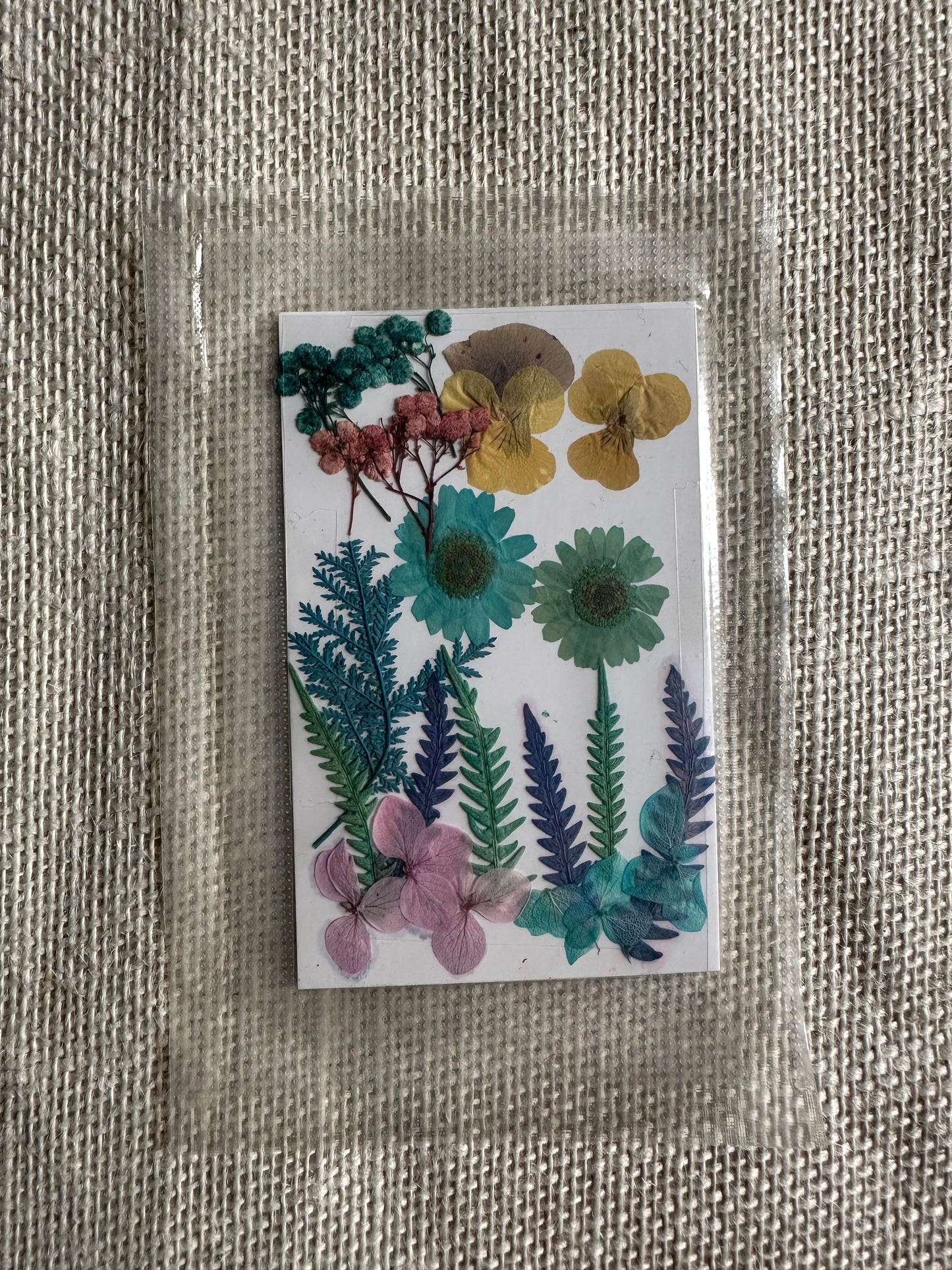 Dry Pressed Flowers - 009 (1 Pack)