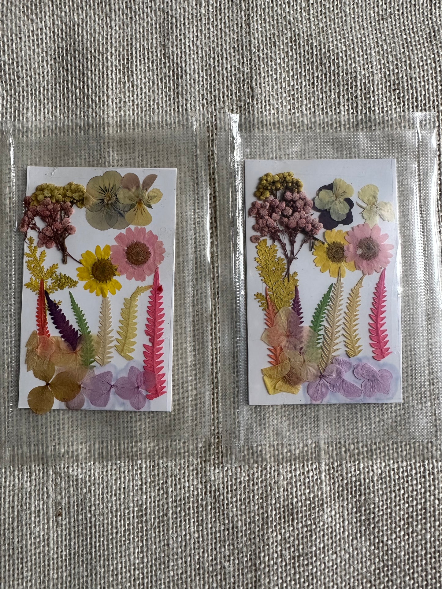 Dry Pressed Flowers - 010 (1 Pack)