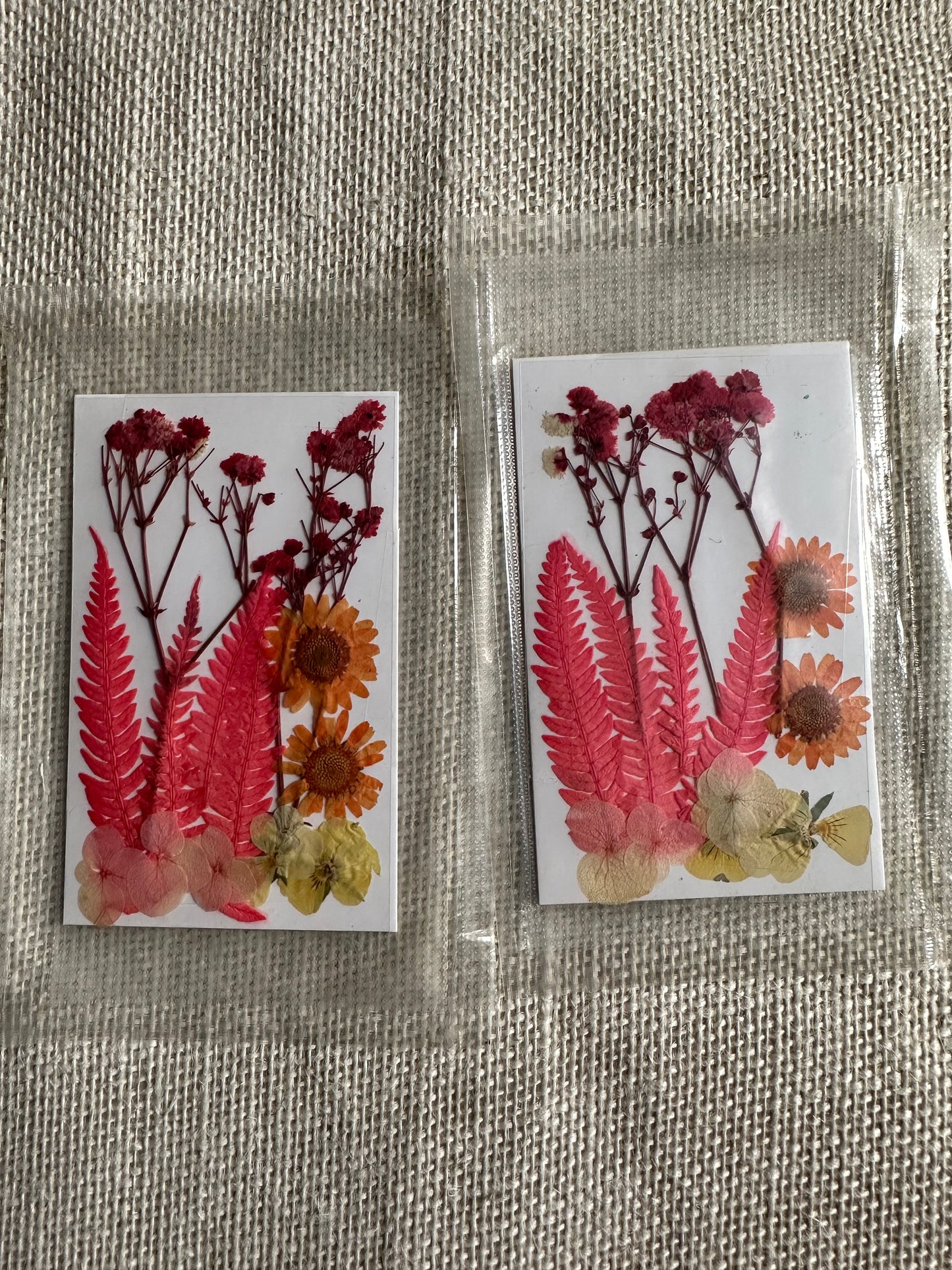 Dry Pressed Flowers - 011 (1 Pack)