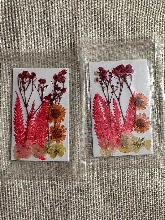 Dry Pressed Flowers - 011 (1 Pack)